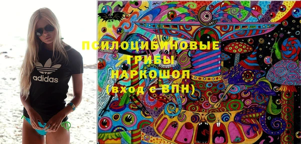 соль ск Беломорск
