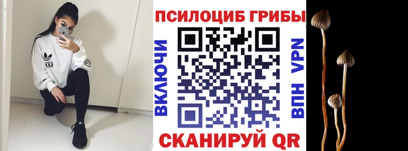Галлюциногенные грибы Psilocybine cubensis  kraken сайт  Новозыбков 