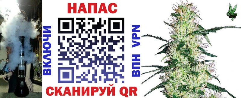 Канабис сатива Новозыбков